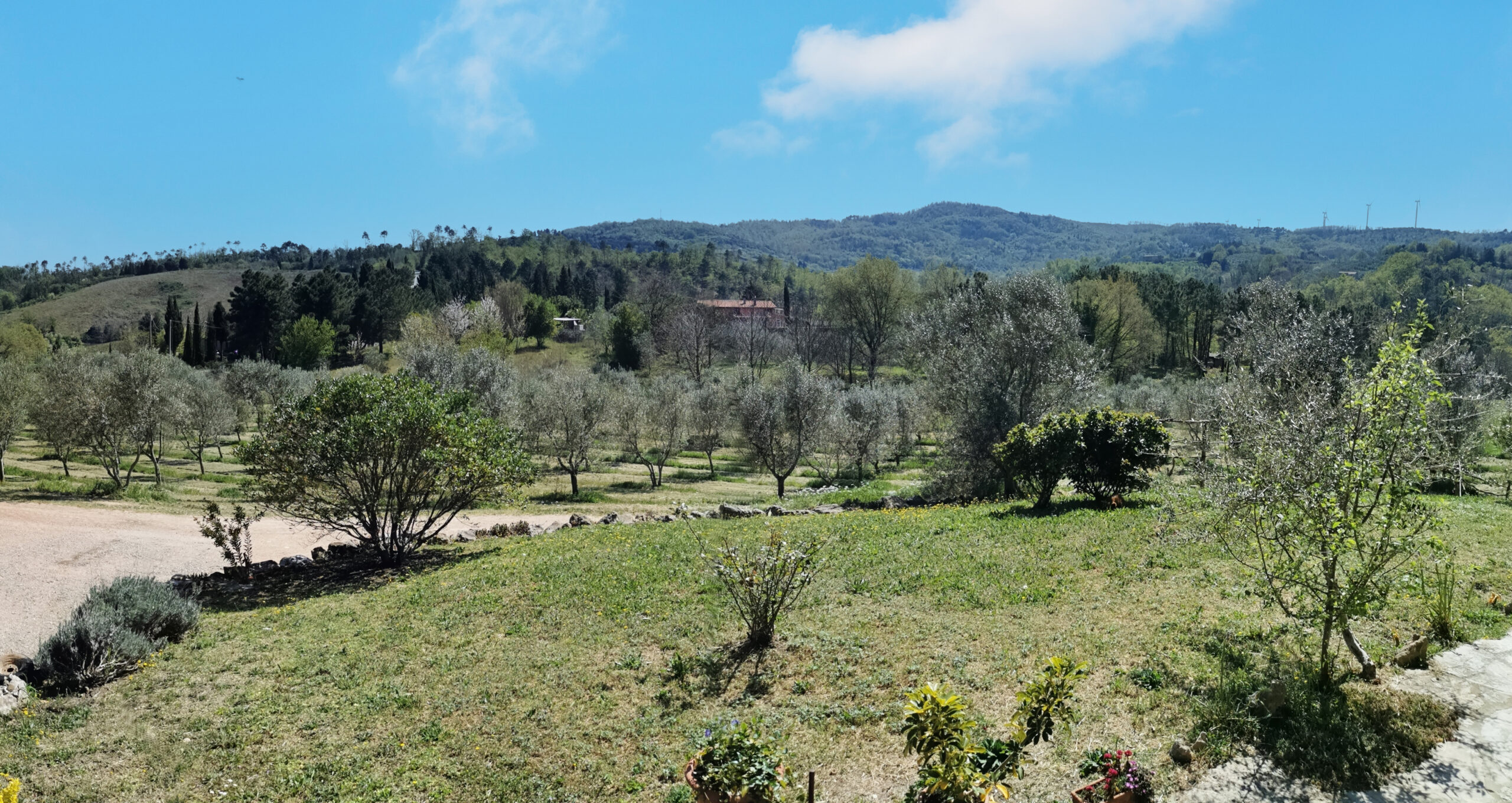 Azienda Agricola Marconi Matteo