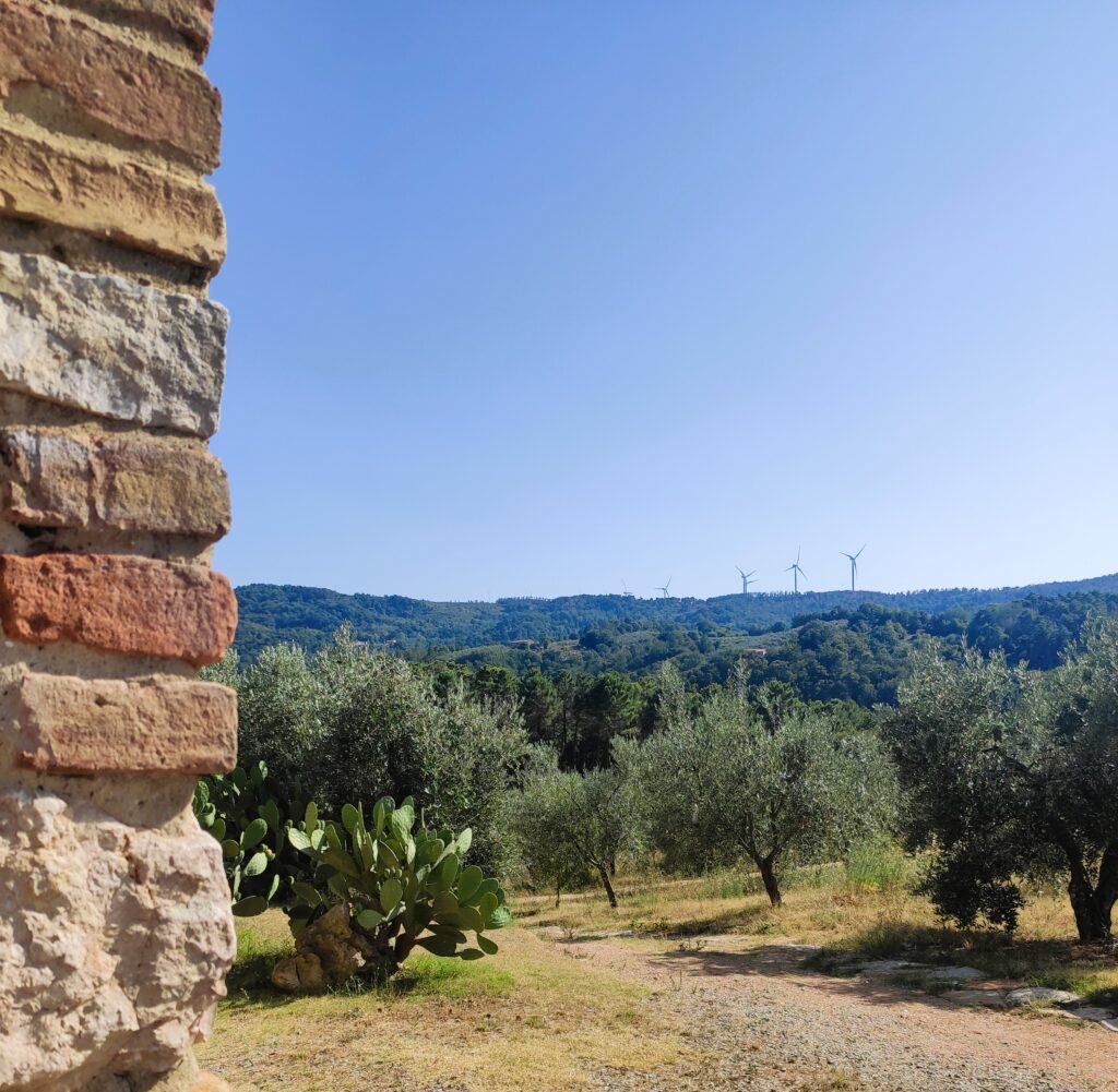 Oliveti Agrimarconi